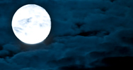 Grace Beneath a Full Moon 